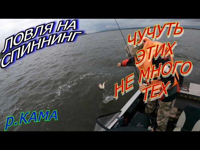 ДЖИГ. КАМА. СОКОЛКА. РЫБОВ нашли только под конец рыбалки!