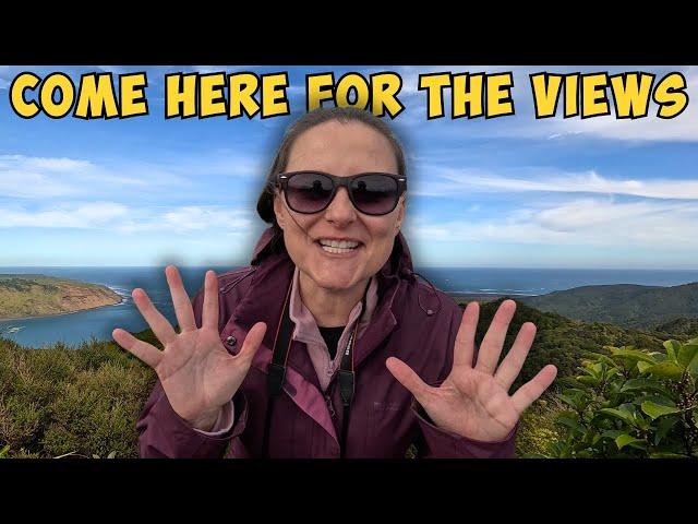 WAITAKERE HIKE l Mt Donald McLean Track l Auckland Adventure, less than an hour from cbd