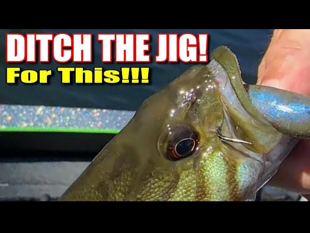 Want to Catch More Fish? Ditch the Jig for This Bait!