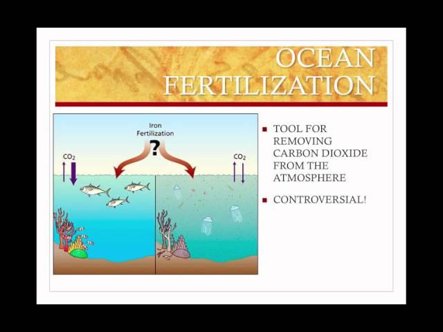 Ecosystems and Restoration Ecology