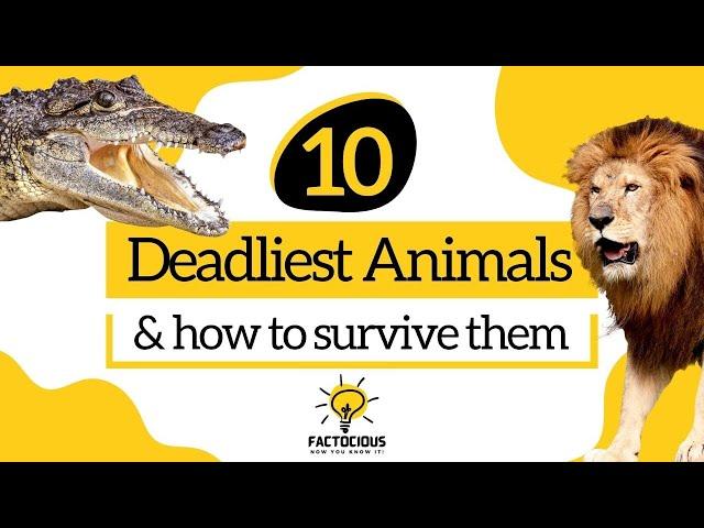 10 Deadliest Animals and How to Survive Them | Dangerous Situations and Survival Tips