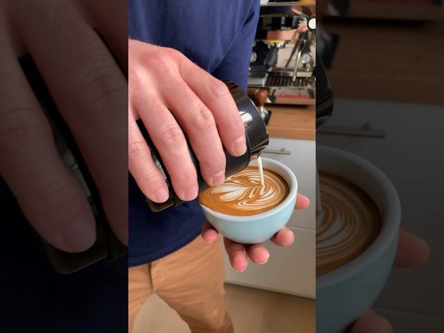 Rosetta  #latteart #shorts