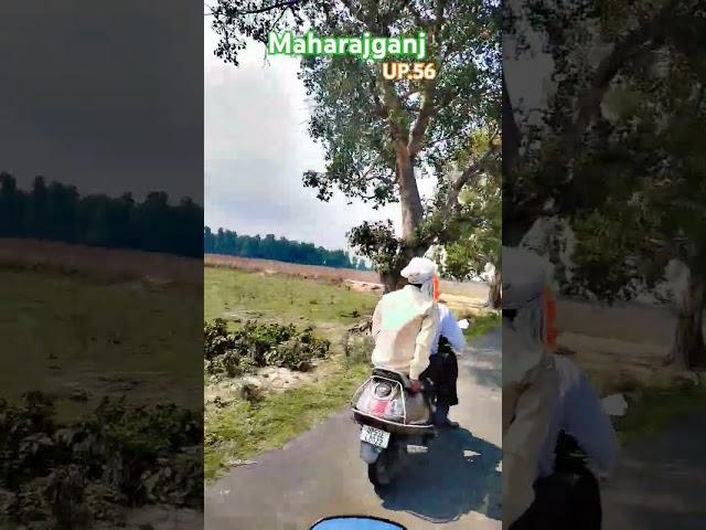 UP_56 Maharajganj