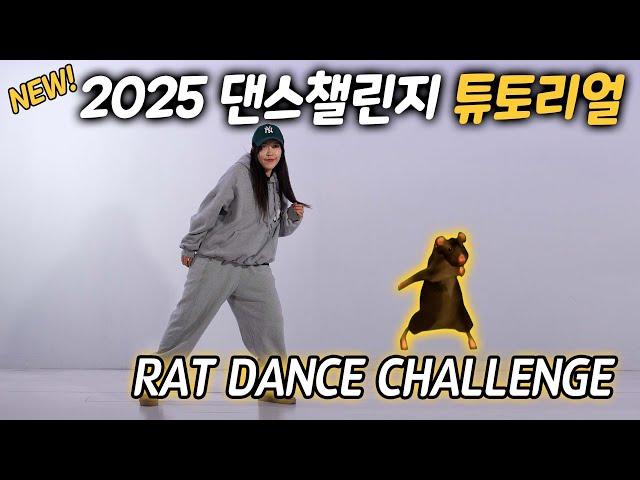 2025 인기댄스챌린지 RAT 댄스 튜토리얼