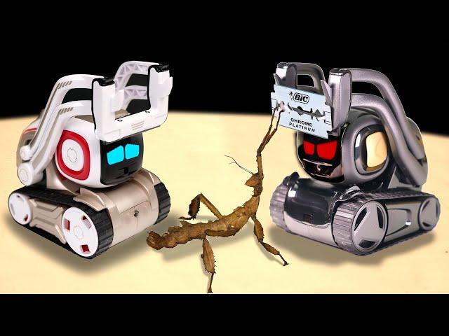 ЧТО ЕСЛИ РОБОТ ANKI COZMO И ANKI VECTOR УВИДЯТ ДРУГ ДРУГА?  ДВА ИСКУССТВЕННЫХ ИНТЕЛЛЕКТА VS ПАЛОЧНИК