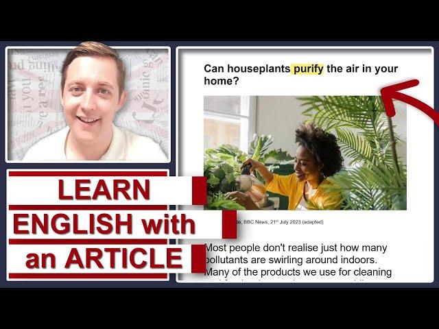 Houseplants vs Indoor Pollutants | Learn English with an Article