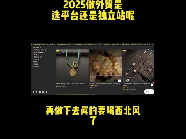 2025做外贸是选平台还是独立站呢？#网站 #网站建设 #网站搭建