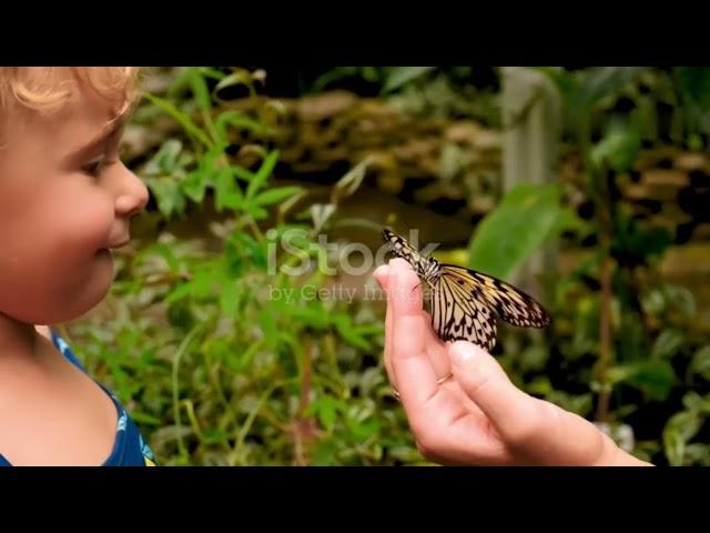 The Animal Archive Introduction