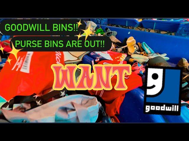 Let’s Go To Goodwill Bins! The Wild West Of Thrifting! +Purse Bins Are OUT! & ANNOUNCEMENT