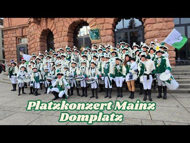 Platzkonzert Mainz Neujahr Domplatz Januar 2025