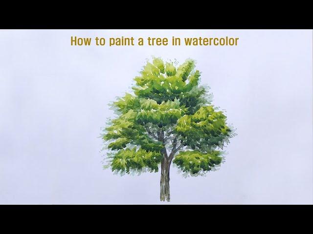 the process of drawing trees/trees in watercolors