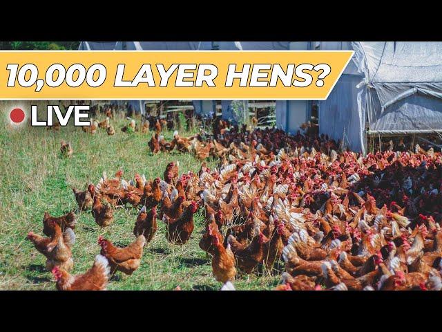 LIVE Tour: Seven Sons Farms [Regenerative Agriculture]