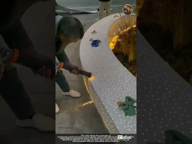 The production of translucent cement branches