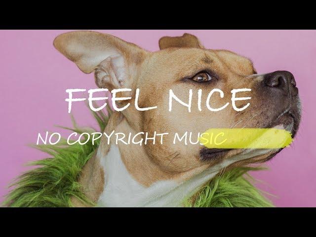 저작권없는음악 브이로그음악 유튜브브금 무료BGM 배경음악(Feel Nice)