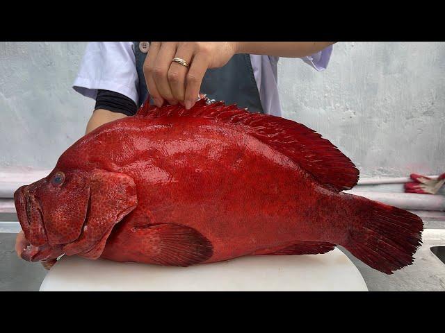 The best way to prepare red grouper, red grouper sashimi // best cooking