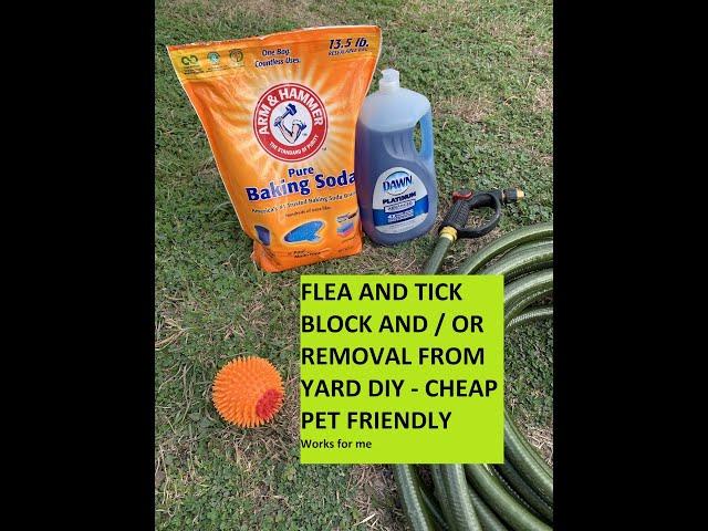 Flea and Tick In your yard Killer / Preventer DIY Cheap- works for me -CHECK SAFETY IN DESCRIPTION