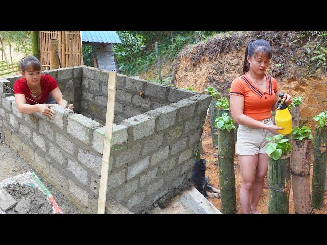 280 Day Create A Clean Vegetable Garden -/Grow Vegetable in Bamboo Tube,.../Video Timelapse