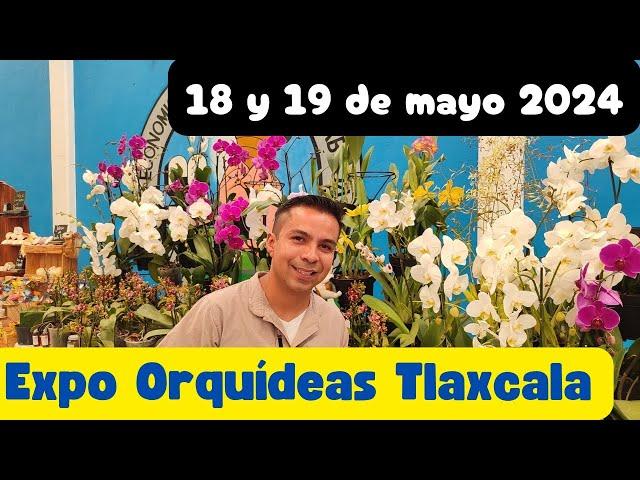 Expo Orquídeas Tlaxcala 2024