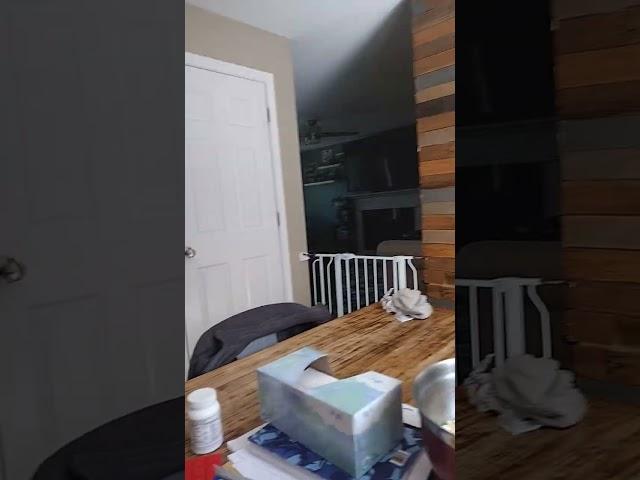 #loop