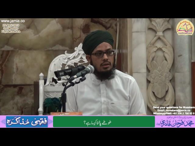 Totay (Parrots) Palna kesa طوطے پالنا کیسا