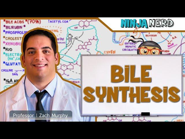 Gastrointestinal | Bile Synthesis