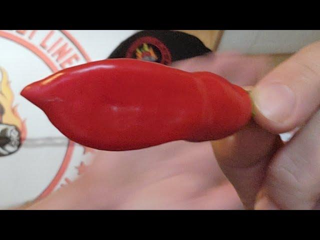 Sugar Rush Red Pepper Review