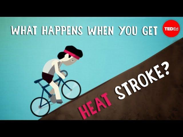 What happens when you get heat stroke? - Douglas J. Casa