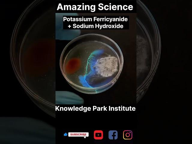 #amazingscience #experiment #viralvideo #viralshorts #viralshortsvideo #colourlight #science