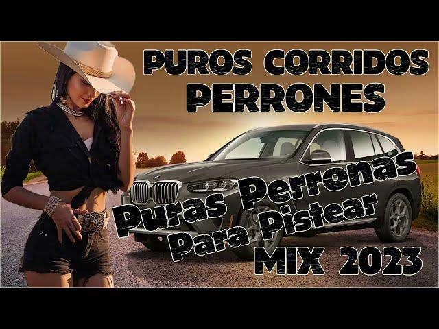 Puros Corridos Perrones - Puras Perronas Para Pistear Mix 2024