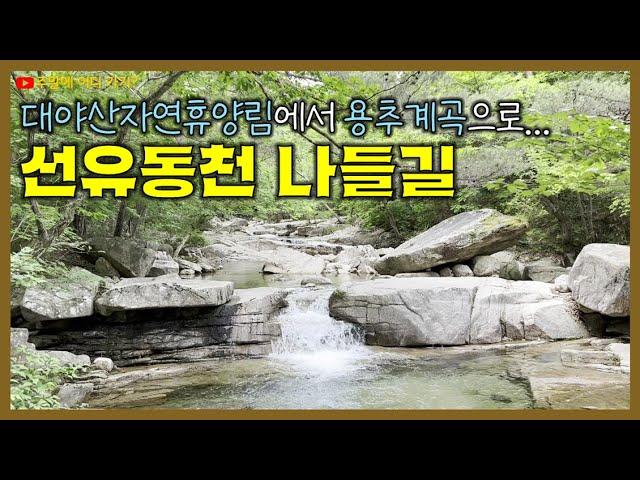 선유동천 나들길 - 대야산자연휴양림에서 용추계곡으로 | 경상북도 문경시 | 문경 여행