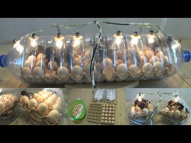 How to make a home incubator out of a water bottle | كيفية صنع حاضنة منزلية من زجاجة ماء