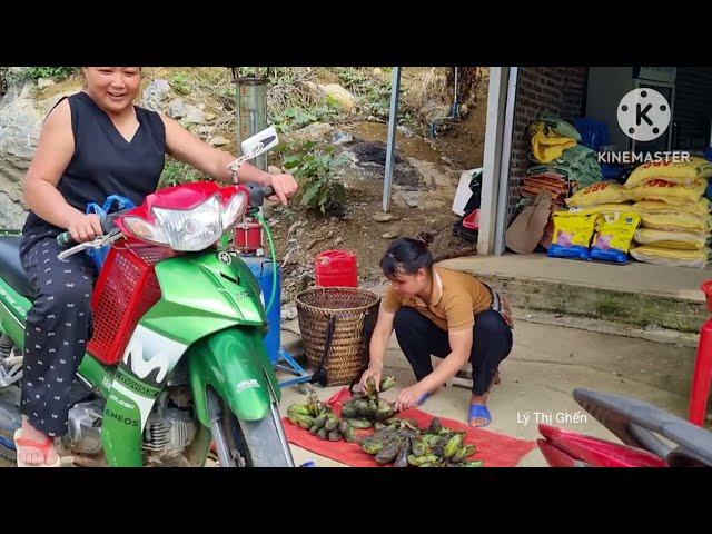 15 Days: Harvesting produce with my son to sell at the market _ Building a farm
