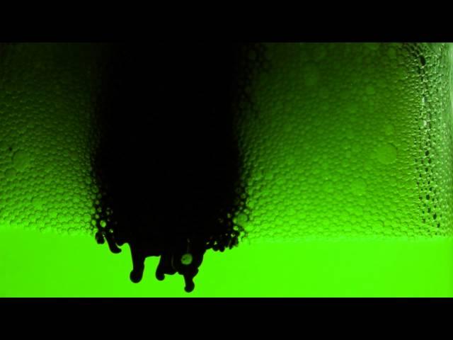 James Ehlenz - Beerly Titled