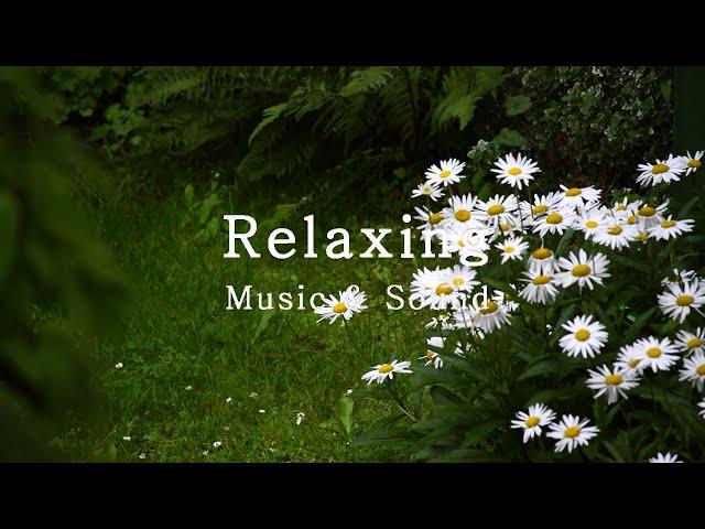 Debussy, Clair de Lune -  Relaxing Piano Music, Rain Sound, Calm piano, Peaceful, Deep Sleep