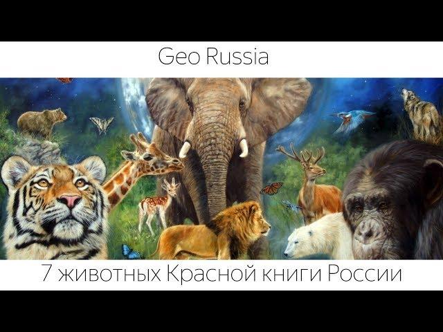 ЖИВОТНЫЕ КРАСНОЙ КНИГИ РОССИИ