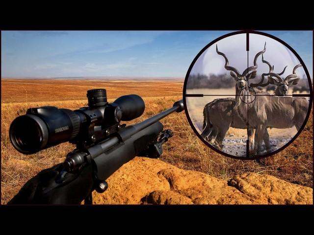 Epic Kudu KILL SHOTS Compilation