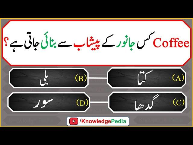 islamic urdu Best Paheliyan | Riddles About Islam | اسلامی سوالات | islamic Questions 618