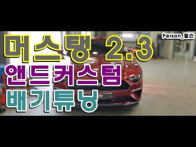 [Person_펄슨] 머스탱2 3앤드커스텀배기튜닝