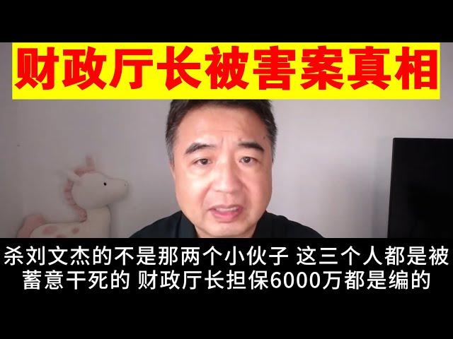 翟山鹰：湖南财政厅长被害案真相丨真正的凶手不是两个小伙子却另有其人丨6000万 财政厅长担保都是编的丨刘文杰丨江燚辉丨江辉