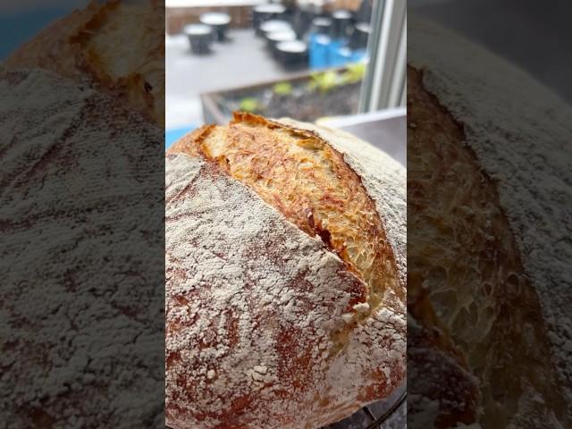Whole Wheat No knead Bread | Urban Farm and Kitchen