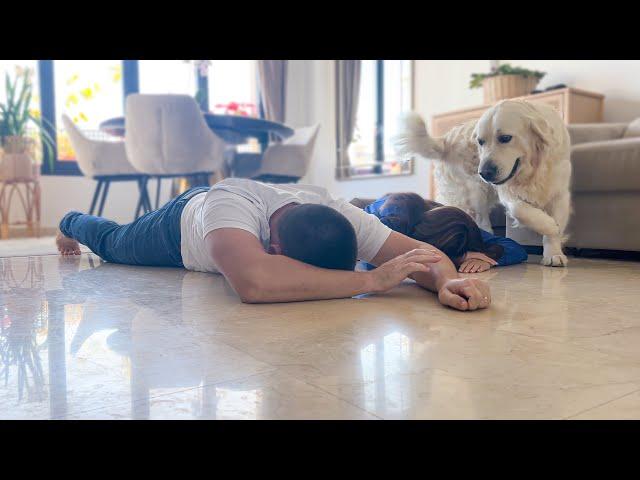 Pretending To Faint In Front Of My Dog [Cutest Reaction Ever]