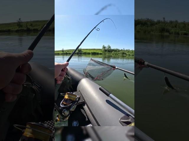 Река Пьяна рыбалка  #fishing  #рыбалка