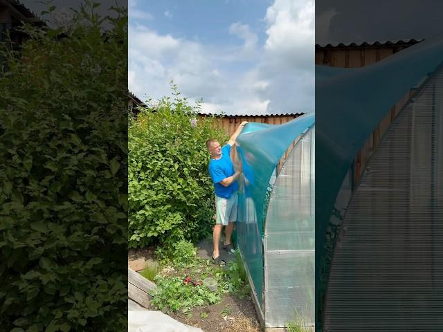 Установка теплицы