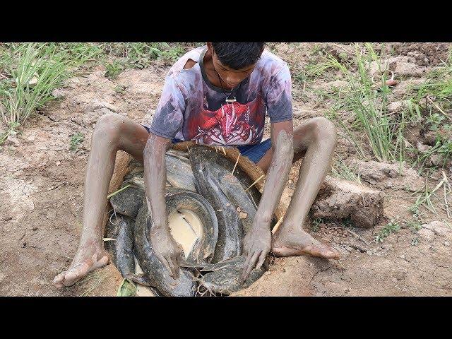 Find Hidden Catfish In Dry Soil |  Amazing Fishing In Dry Season By Smart Boy