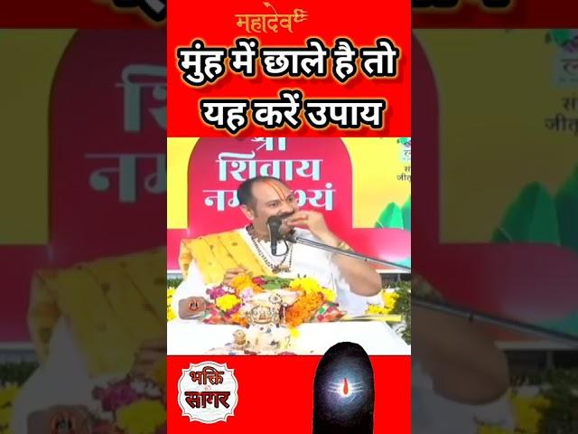 यदि मुंह मे छाले ह तो ये करे उपाय #pandit_pradeep_ji_mishra #short #shorrts #viral#shorts #shiv