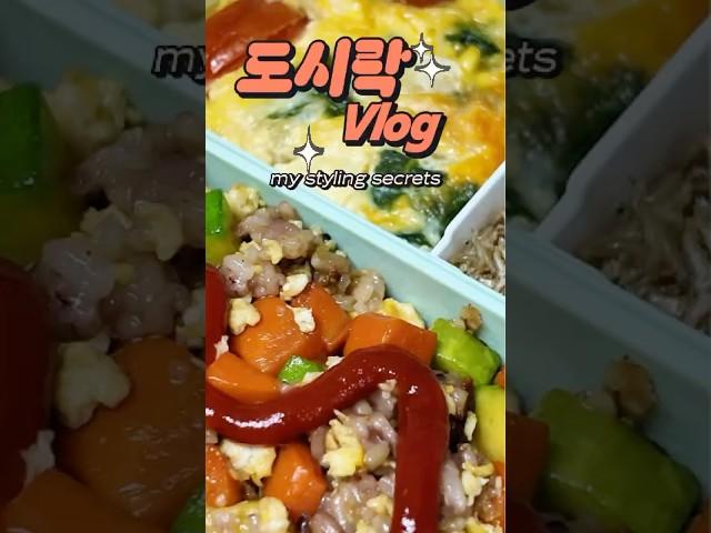 [vlog]애호박 볶음밥 이탈리아식 시금치오믈렛도시락 브이로그️