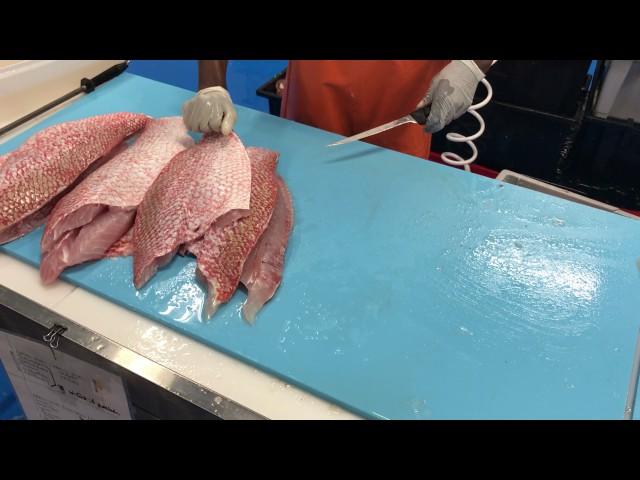 Wholesale Seafood Market Near Me: South Florida