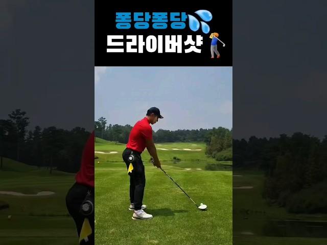 골프 골린이 퐁당퐁당 물수제비 샷ㅋㅋㅋㅋㅋㅋ
