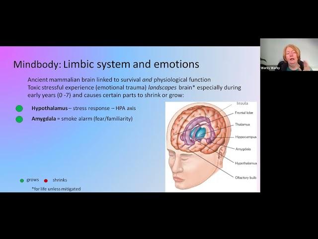 Mitochondria and emotional regulation – Dr Patricia Worby | recorded Aug 2021