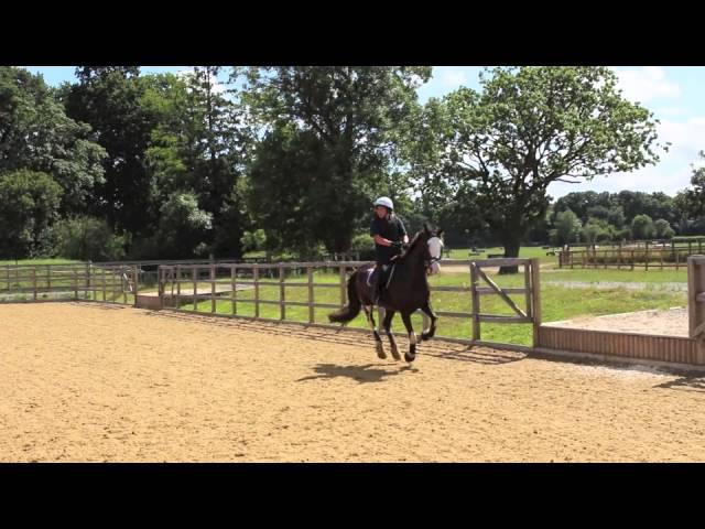 Parwood XC/SJ clinic with Tilly